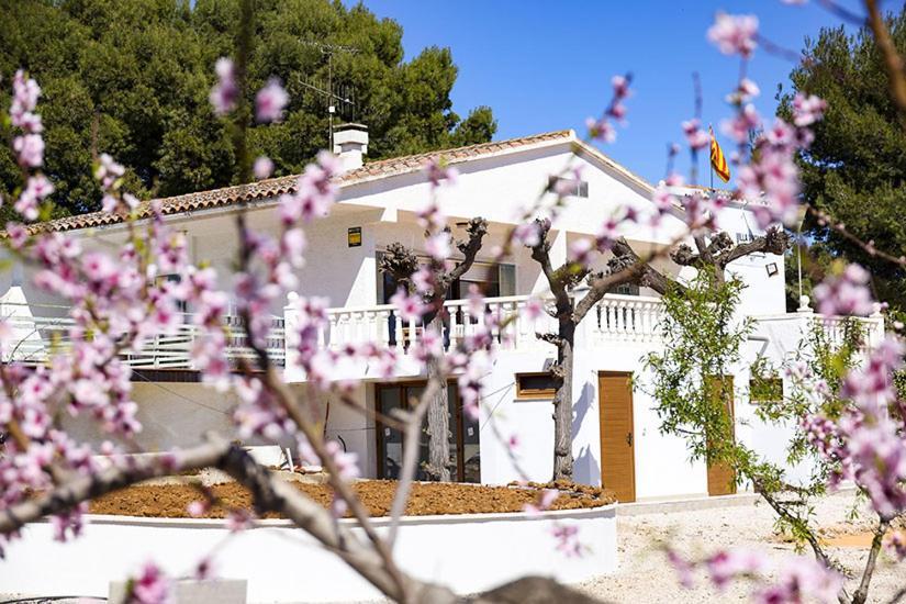 Villa Vintage Les Cases d'Alcanar Dış mekan fotoğraf