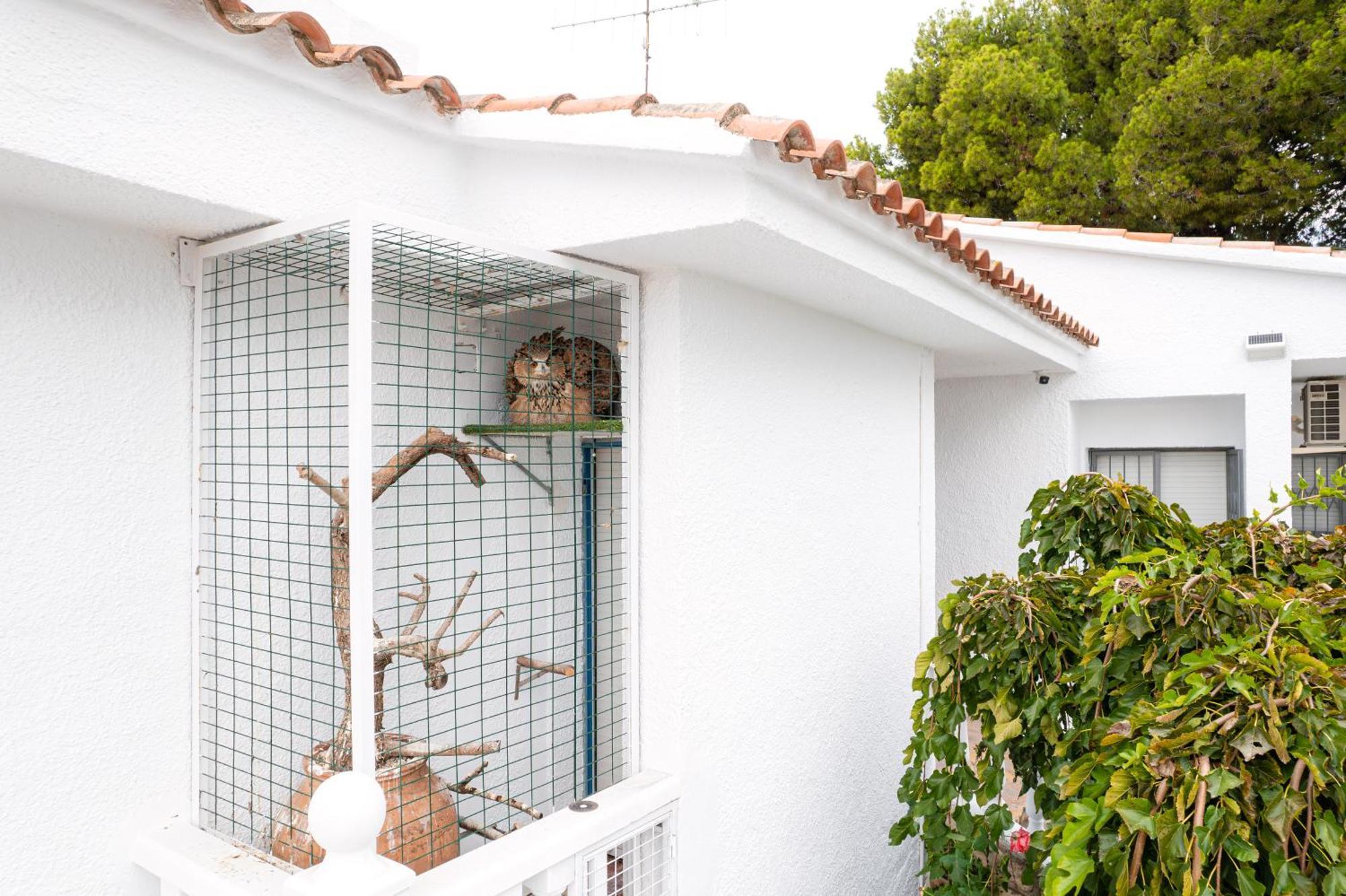 Villa Vintage Les Cases d'Alcanar Dış mekan fotoğraf